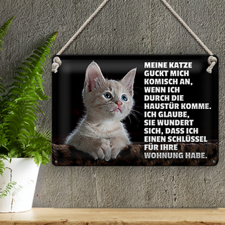 Blechschild Spruch 30x20cm Katze guckt mich komisch an