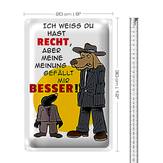 Blechschild Spruch 20x30cm meine Meinung gefällt mir besser