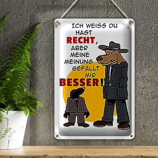 Blechschild Spruch 20x30cm meine Meinung gefällt mir besser