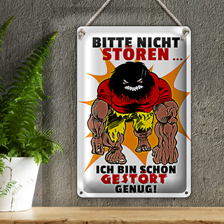 Blechschild Spruch 20x30cm Nicht stören bin gestört genug