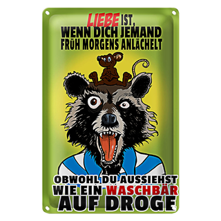 Blechschild Spruch 20x30cm Liebe ist wenn morgens angelächelt