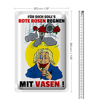 Blechschild Spruch 20x30cm Für dich Rosen regnen mit Vasen
