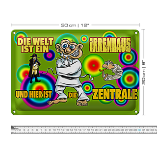 Blechschild Spruch 30x20cm Welt ist Irrenhaus hier ist Zentrale