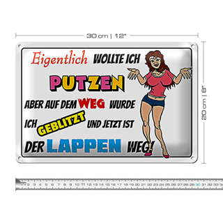 Blechschild Spruch 30x20cm eigentlich wollte ich putzen