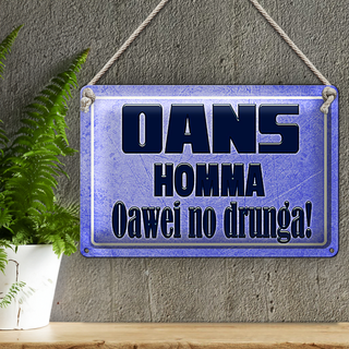 Blechschild Spruch 30x20cm Oans homma oawei no drunga