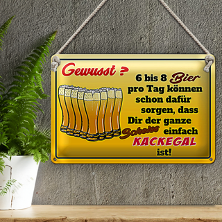 Blechschild 30x20cm 6-8 Bier ganzer Scheiß egal