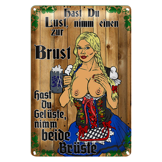 Blechschild Pinup 20x30cm Nimm einen zur Brust Bier