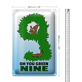 Blechschild Spruch 20x30cm Oh you green nine
