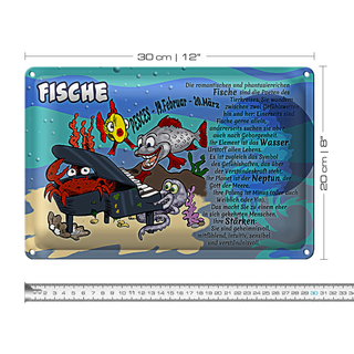 Blechschild Sternzeichen 30x20cm Fische 19 Februar 20 März