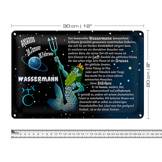 Blechschild Sternzeichen 30x20cm Wassermann
