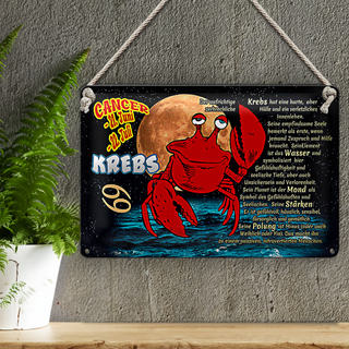 Blechschild Sternzeichen 30x20cm Krebs Planet Mond