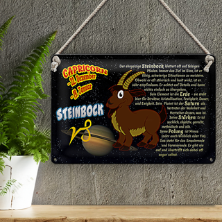 Blechschild Sternzeichen 30x20cm Steinbock Planet Saturn
