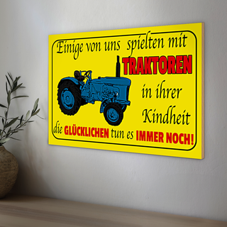 Holzschild Spruch 30x20cm einige spielten mit Traktoren