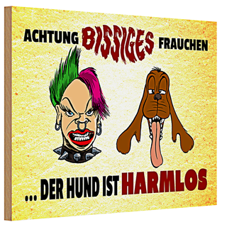 Holzschild Spruch 30x20cm Achtung bissiges Frauchen Hund