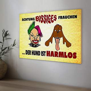 Holzschild Spruch 30x20cm Achtung bissiges Frauchen Hund