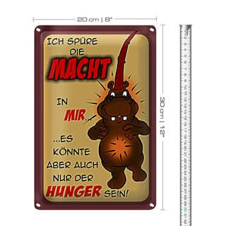 Blechschild Spruch 20x30cm Ich spüre die Macht in mir
