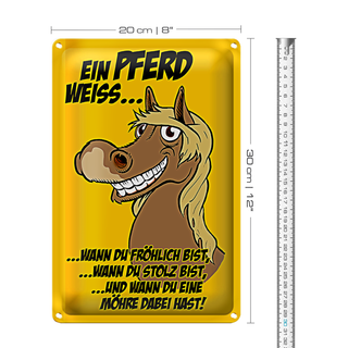 Blechschild Spruch 20x30cm Ein Pferd weiss wann fröhlich