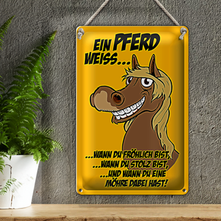 Blechschild Spruch 20x30cm Ein Pferd weiss wann fröhlich