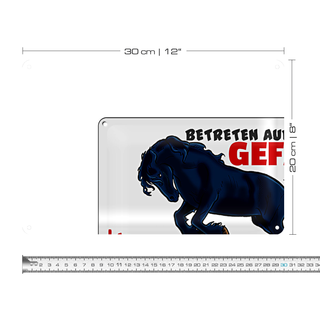 Blechschild Warnschild 30x20cm launisches Pferd Gefahr