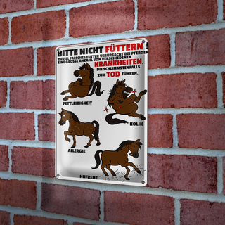 Blechschild Hinweis 20x30cm bitte nicht füttern Pferd krank