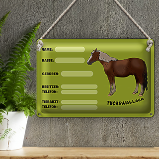 Blechschild Steckbrief 30x20cm Fuchswallach Name Besitzer Rasse