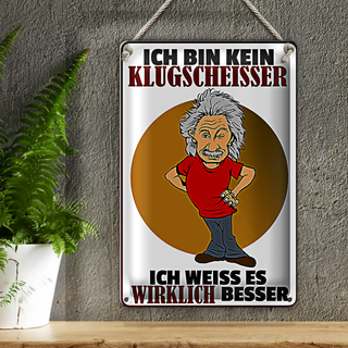 Blechschild Spruch 20x30cm ich bin kein Klugscheisser