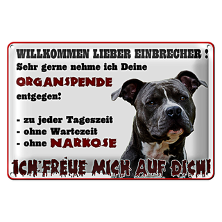 Blechschild Warnschild 30x20cm Willkommen lieber Einbrecher