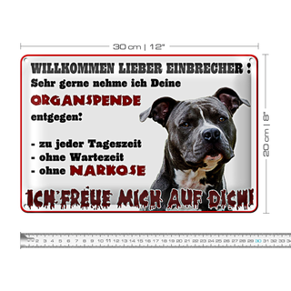 Blechschild Warnschild 30x20cm Willkommen lieber Einbrecher