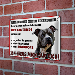 Blechschild Warnschild 30x20cm Willkommen lieber Einbrecher