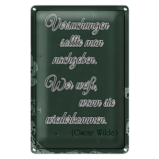 Blechschild Spruch 20x30cm Versuchungen soll man nachgeben