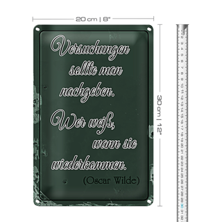 Blechschild Spruch 20x30cm Versuchungen soll man nachgeben
