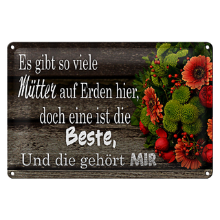 Blechschild Spruch 30x20cm es gibt viele Mütter doch eine beste