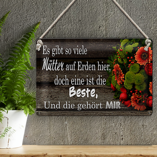 Blechschild Spruch 30x20cm es gibt viele Mütter doch eine beste
