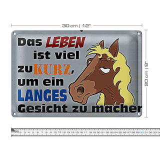 Blechschild Spruch 30x20cm das Leben ist zu kurz um Pferd