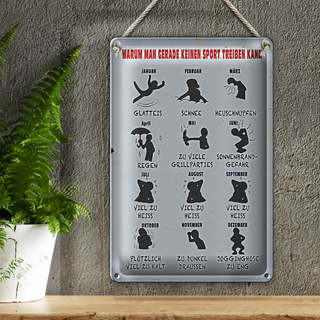 Blechschild Hinweis 20x30cm Gründe keinen Sport zu treiben