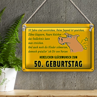Blechschild Spruch 30x20cm Glückwunsch zum 50 Geburtstag