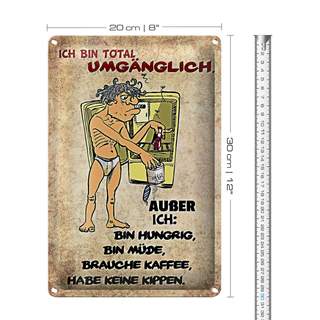 Blechschild Spruch 20x30cm bin total umgänglich außer
