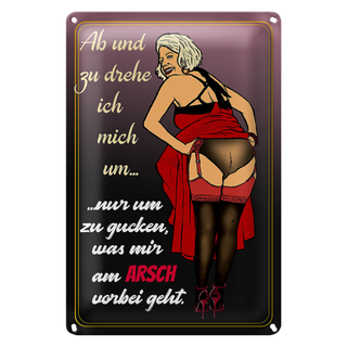 Blechschild Pinup 20x30cm ab und zu drehe ich mich um Arsch