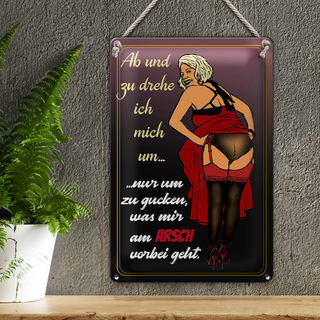 Blechschild Pinup 20x30cm ab und zu drehe ich mich um Arsch