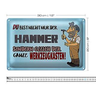 Blechschild Spruch 30x20cm du Bist nicht nur der Hammer