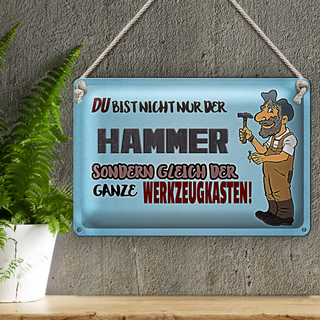 Blechschild Spruch 30x20cm du Bist nicht nur der Hammer