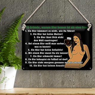 Blechschild Pinup 30x20cm 10 Gründe Bier besser als Frau