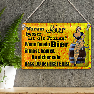 Blechschild Pinup 30x20cm Warum Bier besser ist als Frauen