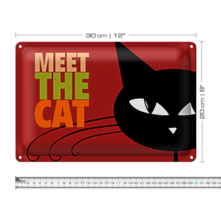 Blechschild Spruch 30x20cm Katze Meet the cat