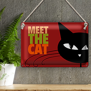 Blechschild Spruch 30x20cm Katze Meet the cat