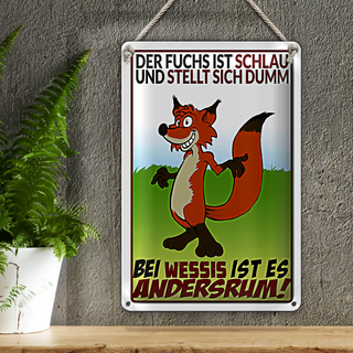 Blechschild Spruch 20x30cm der Fuchs ist schlau