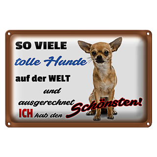 Blechschild Spruch 30x20cm ich hab den schönsten Hund