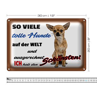 Blechschild Spruch 30x20cm ich hab den schönsten Hund