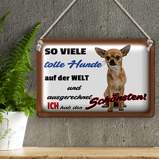 Blechschild Spruch 30x20cm ich hab den schönsten Hund