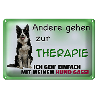 Blechschild Spruch 30x20cm ich geh&#039; mit meinem Hund Gassi